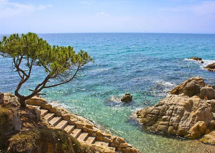 Daire Albatros By Interhome Platja d'Aro